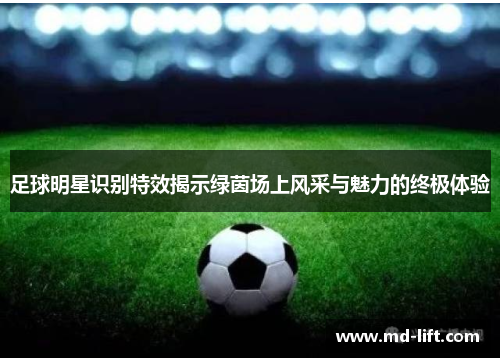 足球明星识别特效揭示绿茵场上风采与魅力的终极体验