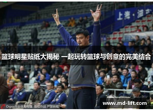 篮球明星贴纸大揭秘 一起玩转篮球与创意的完美结合