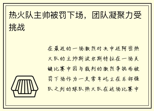 热火队主帅被罚下场，团队凝聚力受挑战